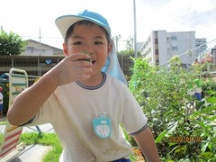 IMG_9101