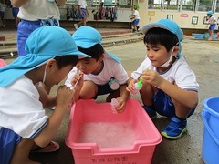 IMG_1495