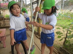 IMG_1280