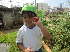 IMG_1299