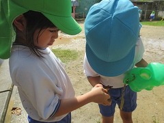 IMG_1301