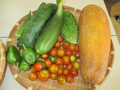 IMG_1761