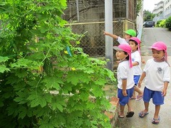 IMG_2684
