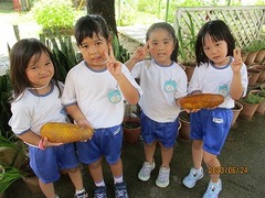 IMG_9033