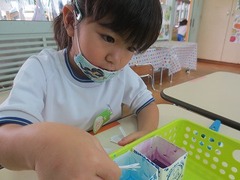 IMG_1268