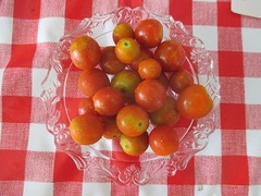 IMG_1628