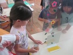 IMG_1677