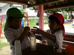 IMG_2433