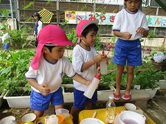 IMG_2450