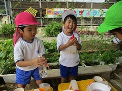 IMG_2451