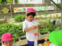 IMG_2457