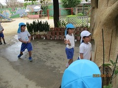 IMG_8931