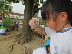 IMG_1208