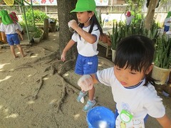 IMG_1210