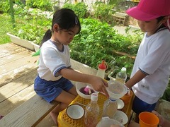 IMG_1218
