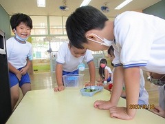 IMG_8879