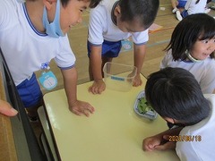 IMG_8880