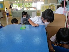 IMG_8887