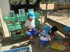 IMG_8889