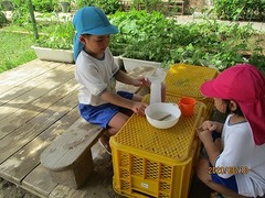 IMG_8898
