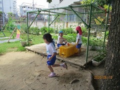 IMG_8903