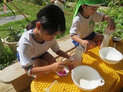 IMG_1175