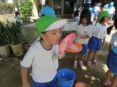 IMG_1185