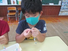 IMG_1382