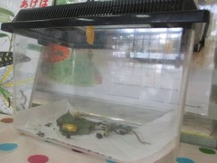 IMG_1475