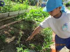 IMG_8836