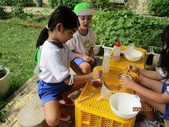 IMG_8844