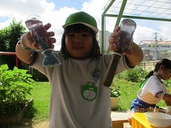 IMG_8845