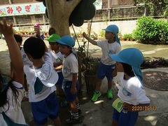 IMG_8851
