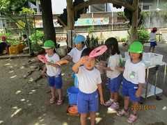 IMG_8871