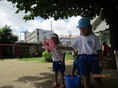 IMG_8874