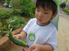 IMG_1149