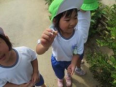 IMG_1156