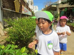 IMG_1158