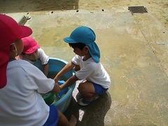 IMG_1325