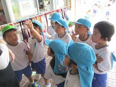 IMG_1333
