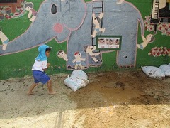 IMG_1346