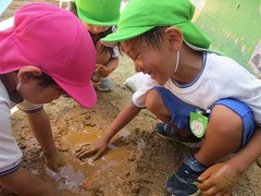 IMG_1147