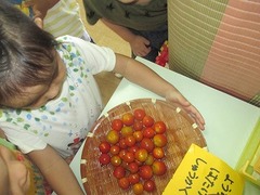 IMG_1378