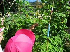 IMG_2014