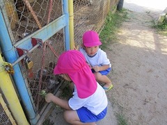 IMG_2020
