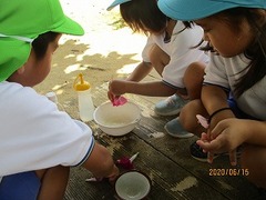 IMG_8817
