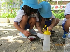 IMG_8819