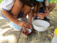 IMG_8820