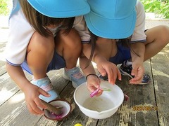 IMG_8821