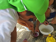 IMG_8822